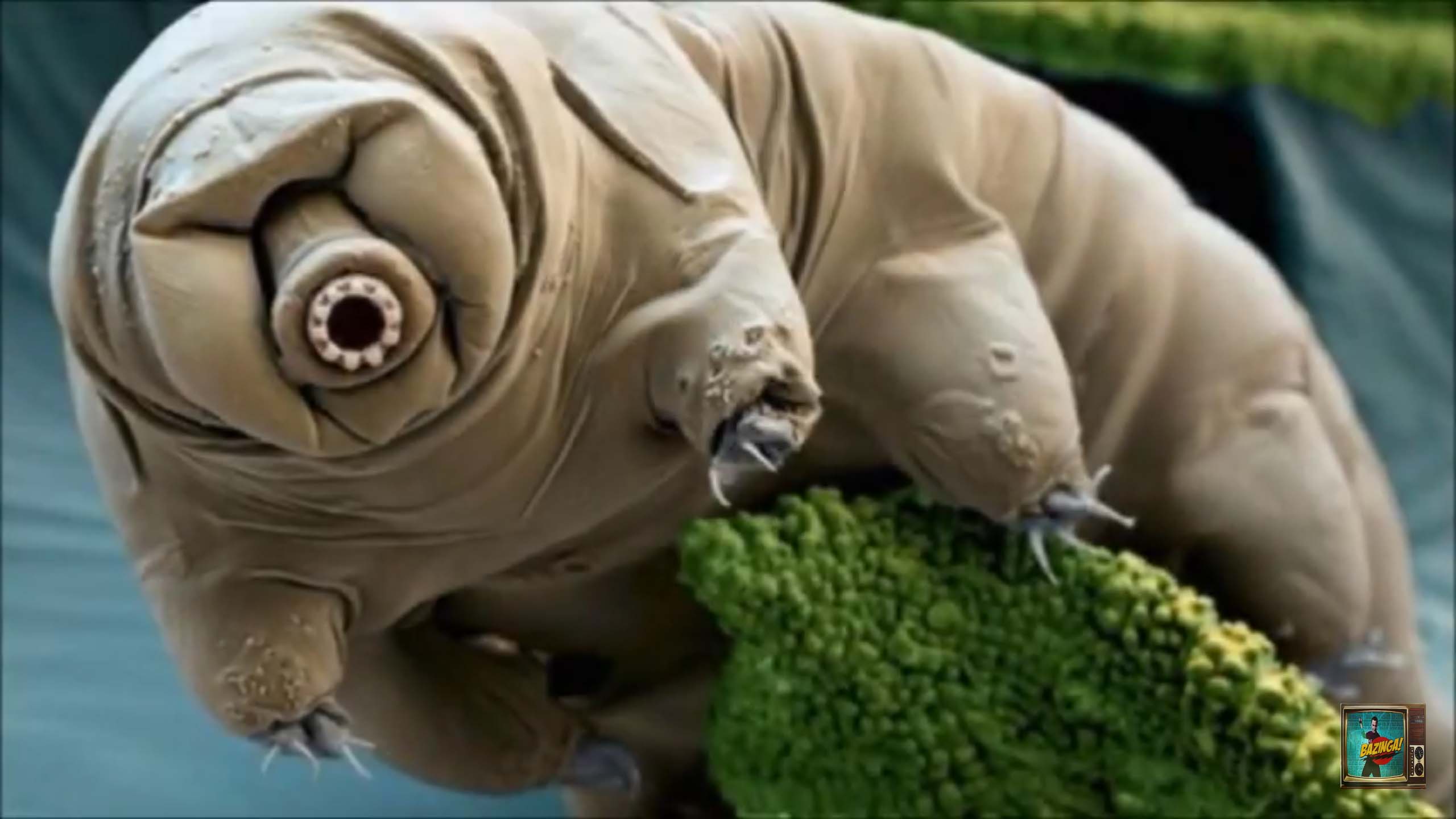 Materia 07 10 2017 11